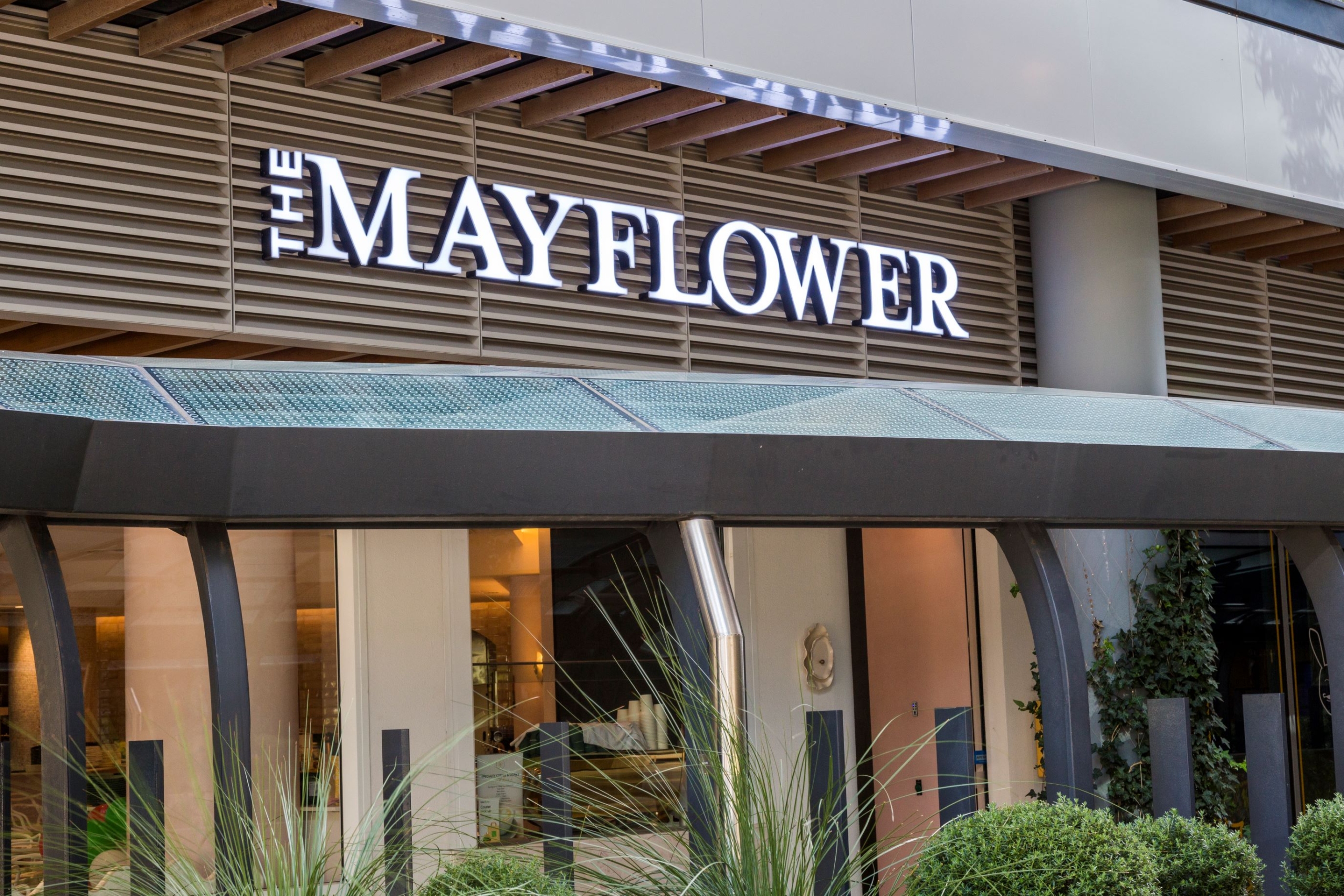 The Mayflower